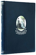 Модный свет: Иллюстрированный журнал для дам: в 35 т. — Подарочное издание оригинала 1868–1914 гг.